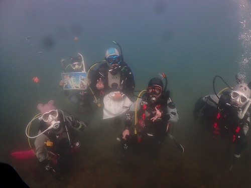 兵庫ダイビングツアー【またまた遠征DAD！】12/20